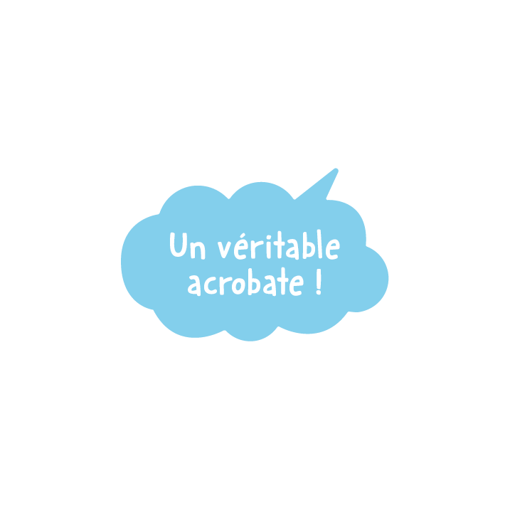 Un véritable acrobate !