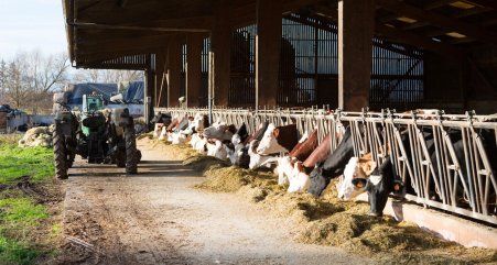 eleveur-alsace-lait