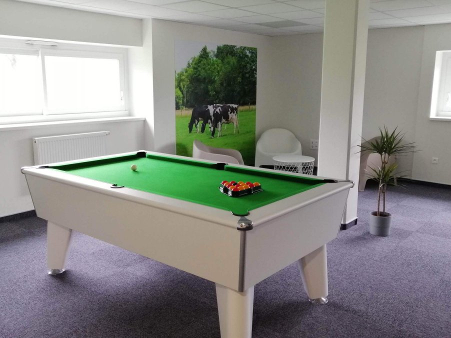 Pool table